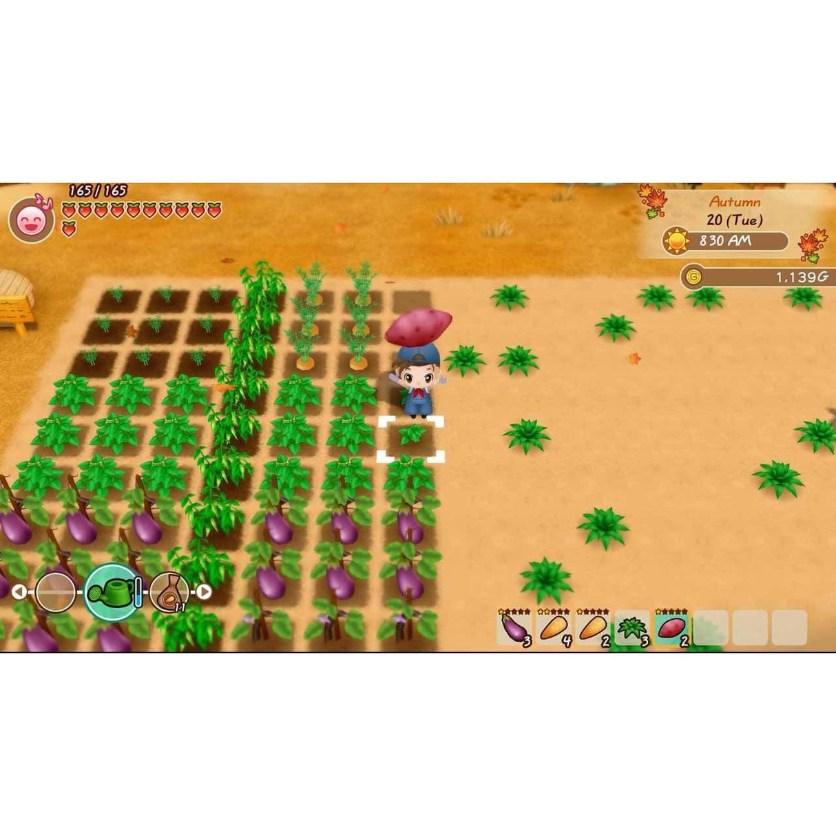 Story of Seasons: Friends Of Mineral Town (Xbox)