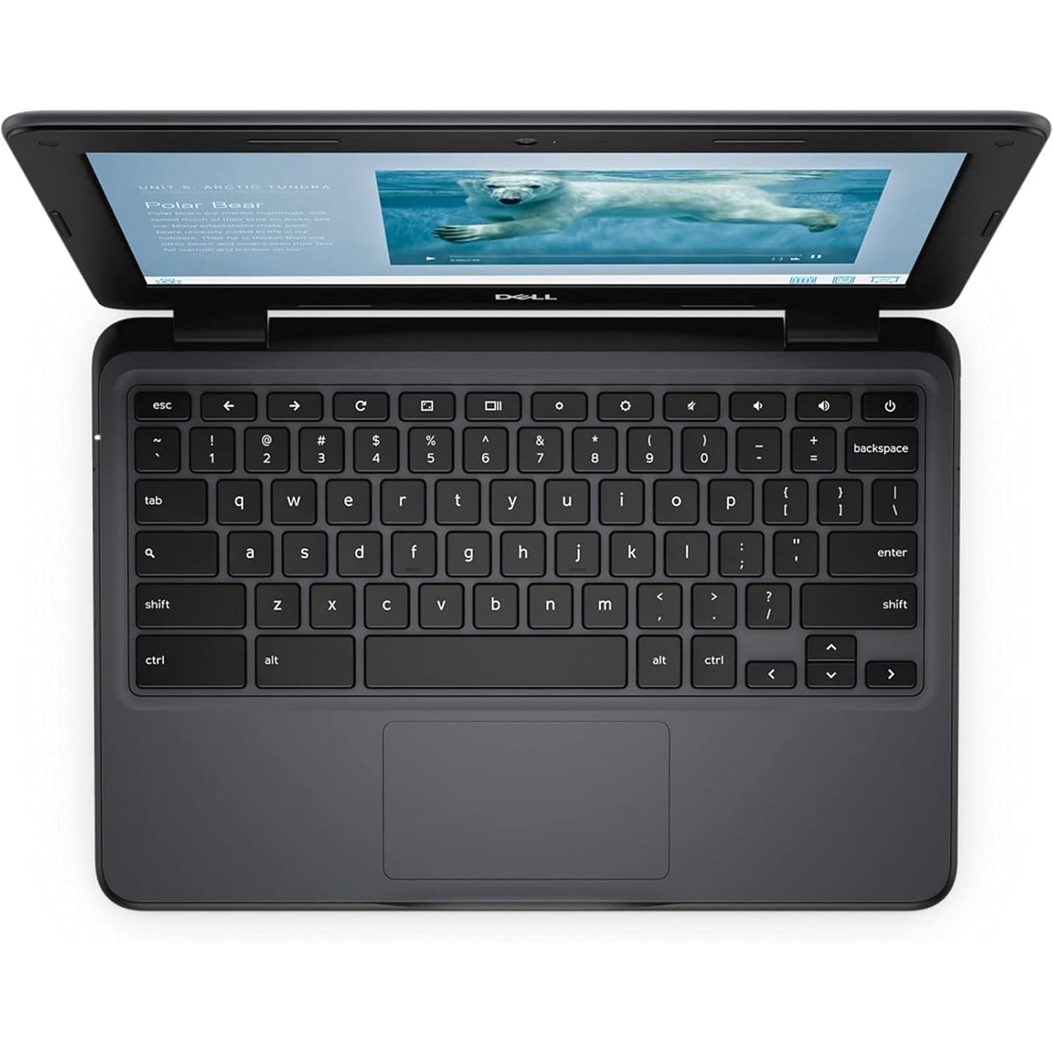 Dell chrome cheapest book 3100