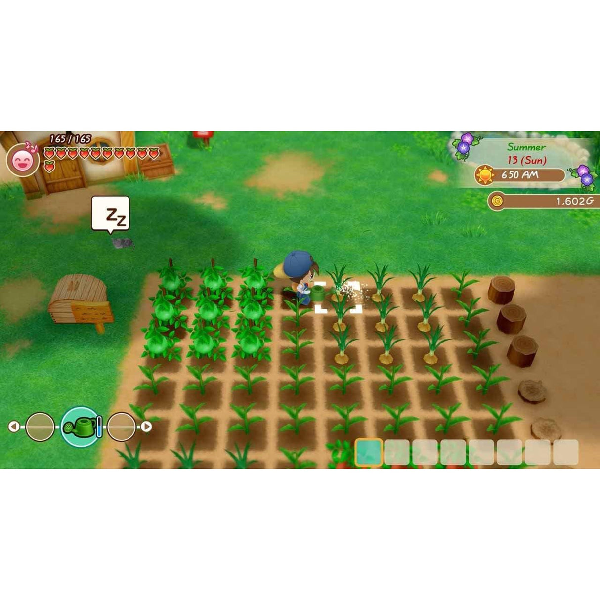 Story of Seasons: Friends Of Mineral Town (Xbox)