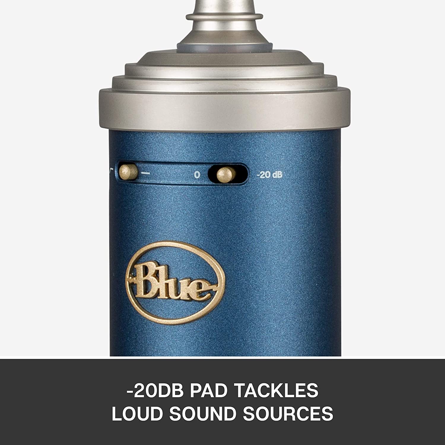 Blue Microphones Bluebird SL Large-Diaphragm Condenser Microphone