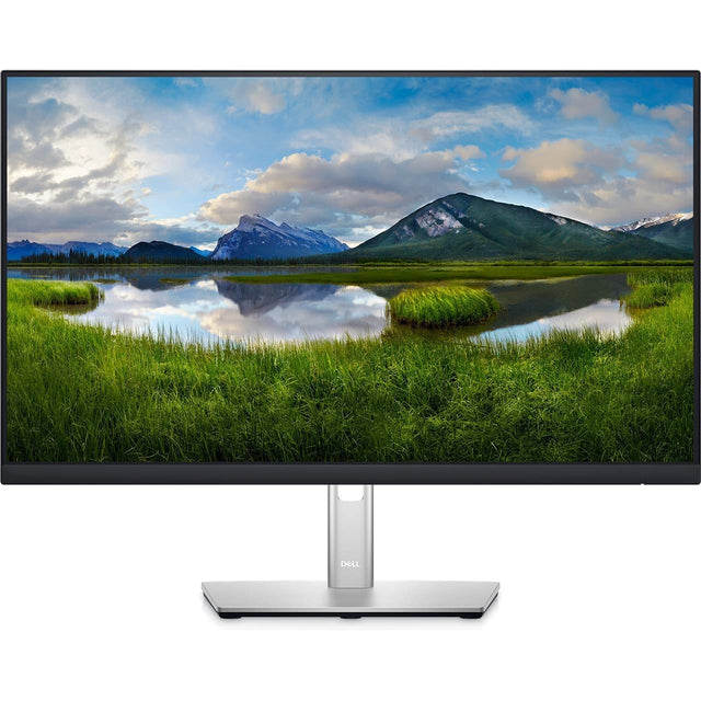 Dell P2422H 23.8" Full HD 1920 x 1080p Monitor - Black / Silver