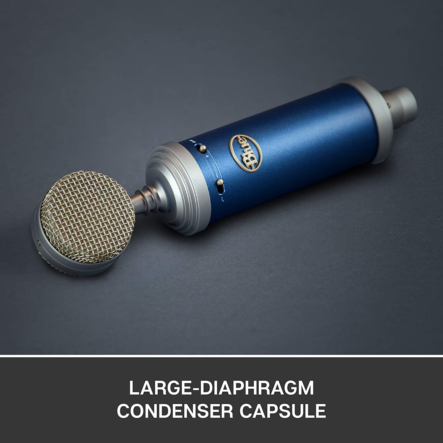 Blue Microphones Bluebird SL Large-Diaphragm Condenser Microphone