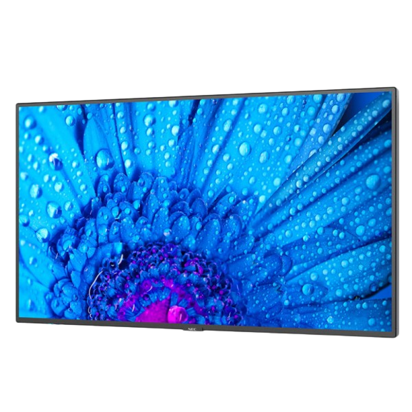 NEC MultiSync M651 M Series - 65" LED-backlit LCD display